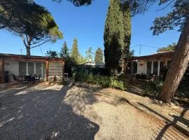 Adriatic Houses Borse