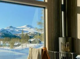 Modern Family Cabin By The Ski Trail In Tuddal