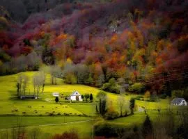 Gite Les Alberts - L'Estagnol