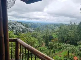 Casa Campestre La Montaña