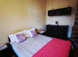 Apartment in the center