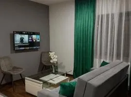 Modern Apartment 2