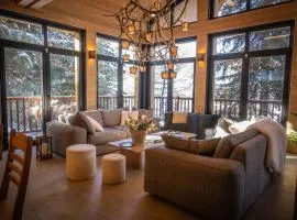 Chalet avec Piscine La Plagne