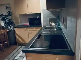 Beautiful studio with terrace in Woluwe-Saint-Lambert