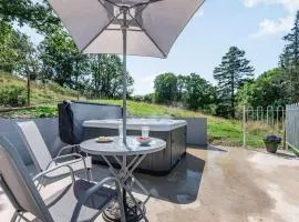 1 bed in Machynlleth 85207