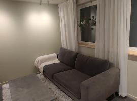 Splitter ny leilighet i sokkel på enebolig, hotel in Vikhammer