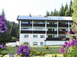 Ferienwohnung In Frauenberg Mit Garten, hotel in Haidmühle