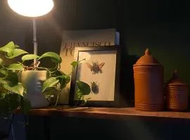 LA MORADA DEL ESCARABAJO CENTRO GTO i