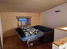 Monte Campell Dasura