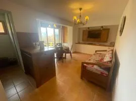 Appartement confortable à Pra-Loup, 2 chambres, terrasse, parking - FR-1-165A-206