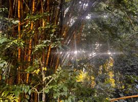 Hiariki Lodge, ξενοδοχείο 