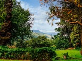 2 Bed in Machynlleth 93078