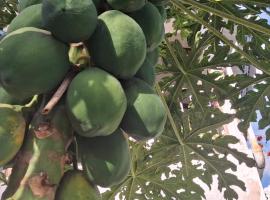 Villa Sapotilles, ξενοδοχείο σε Les Abymes