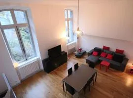 Loft lumineux en centre-ville, proche thermes, pour 4 personnes - FR-1-858-28