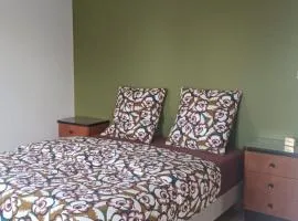 Le 70s 2 pièces proche Colmar