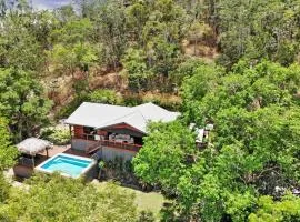 Kookaburra - A Home in the Trees