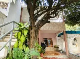 Casa de Edi Santa Marta