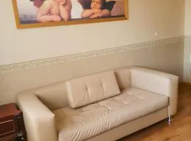 2-х комнатная квартира в центре