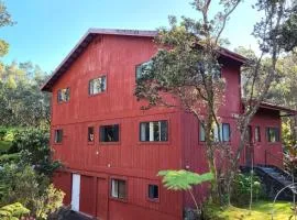 Stop Looking You've found it