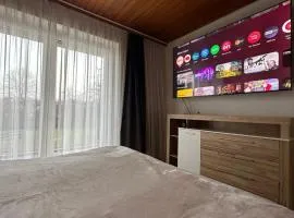 Studio Apartment - Neufelden