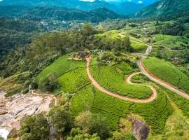 Viriparai Tea Bungalow Munnar by VOYE HOMES - Surrounded by Tea Plantations