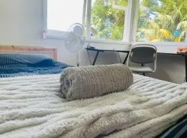 Bus Mac Uni Mac Centre Bright and Sunny