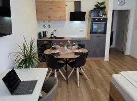 Modernes City Studio in Speyer- stilvoll & zentral