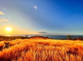 L'écrin de l'océan - Magnifique vue mer