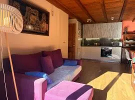 Bajo con jardín privado y chimenea - Puig Falcó 2