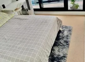 Private Room and bathroom in Shared Apartment with Host