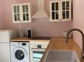 Appartement et terrasse Nice centre