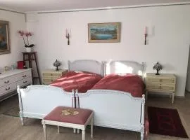 Dream room in basement with private bathroom