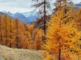 Casa Indipendente Val d'Ayas - Challand Saint Anselme、Challand Saint Anselmeのホテル