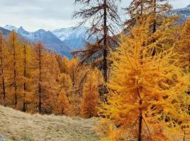 Casa Indipendente Val d'Ayas - Challand Saint Anselme