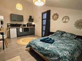 Studio cosy au calme , Boé