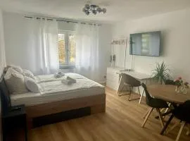 Modernes City Studio in Speyer- stilvoll & zentral