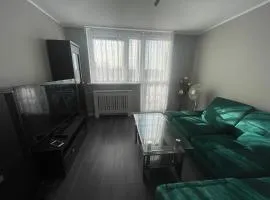 Trzy pokojowe mieszkanie przy UMK ,kilka przystanków od starego Miasta