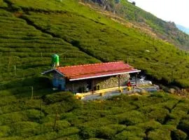 Wild and Free Farm Stay