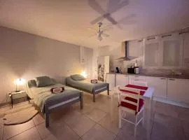 Joli Studio proche CNPE du Blayais