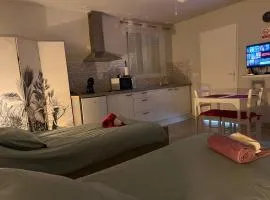 Joli Studio proche CNPE du Blayais