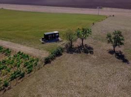 Parcel Tiny House Cave Nerot, au coeur des vignes pr&egrave;s de Sancerre, minihus i Saint-P&egrave;re