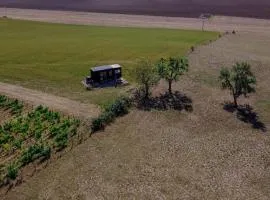 Parcel Tiny House Cave Nerot, au coeur des vignes près de Sancerre