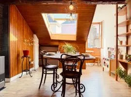 Le Cocon du Centre - Home Cinéma & Calme