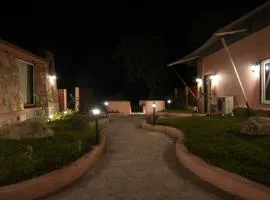 Wild Forest By Nirvana