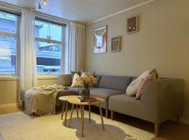 Modern 2 bedroom apartment in the heart of Tromsø