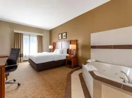 Comfort Inn & Suites Porter near Indiana Dunes