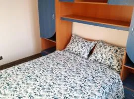 Craiova Christmas Nest