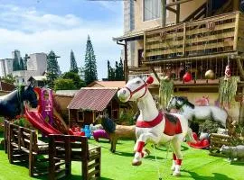 Pousada Alegria do Cowboy