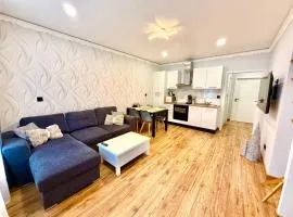 Appartement en centre-ville