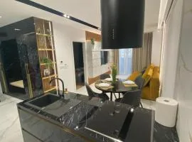 Arad Apartamente Premium